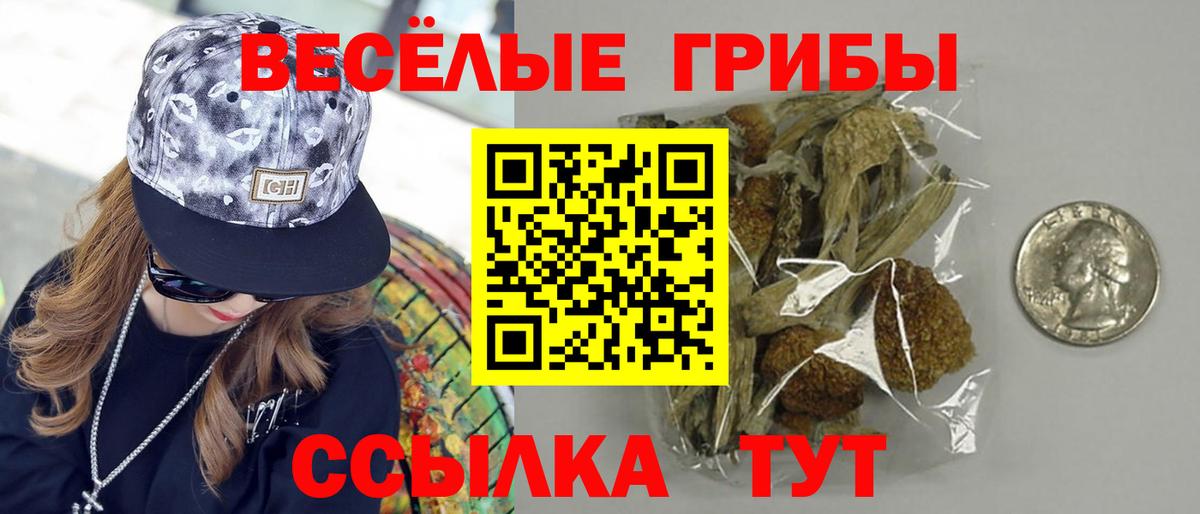 Галлюциногенные грибы ЛСД Аша