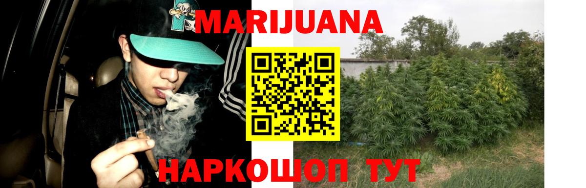 Каннабис Bruce Banner  МАРИХУАНА сатива  Канабис семена  МАРИХУАНА SATIVA & INDICA  Аша  Вход с VPN 